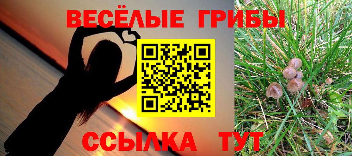 Галлюциногенные грибы Magic Shrooms  Вход с VPN  Гусь-Хрустальный 